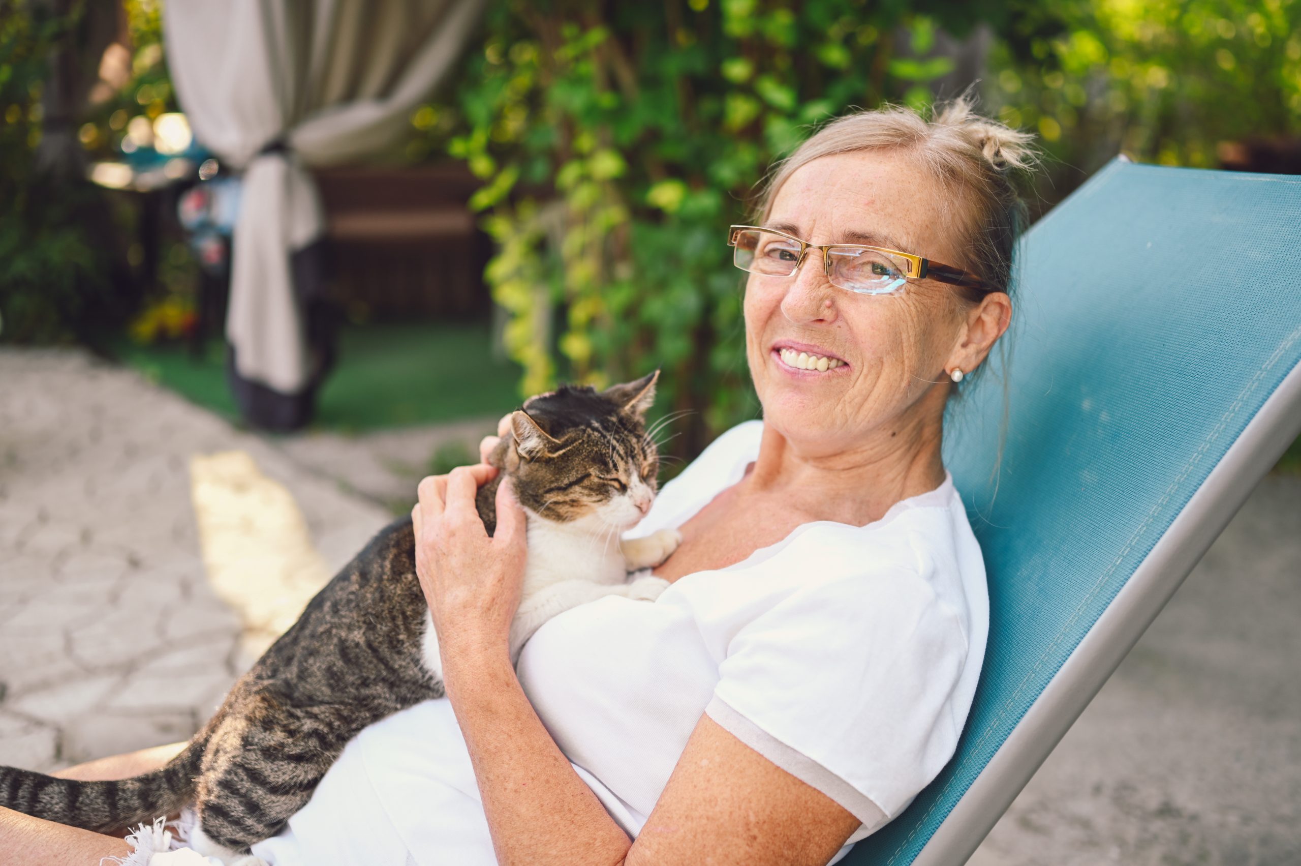 assurance santé pour chat âgé